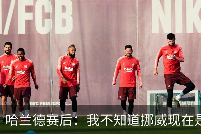 哈兰德赛后：我不知道挪威现在是几点，但我希望大家都在庆祝